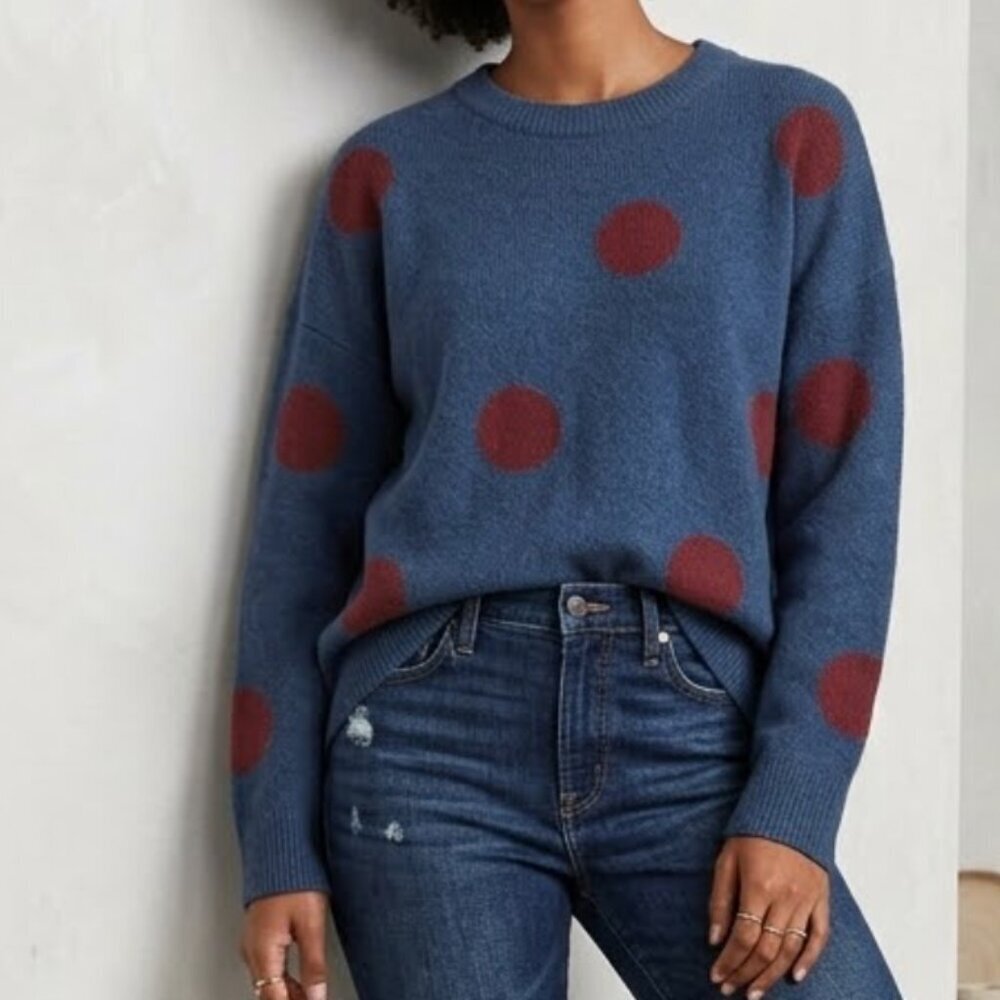 Madewell Polka Dot Wool Blend Sweater Size M Blue Red Cozy Knit Pullover